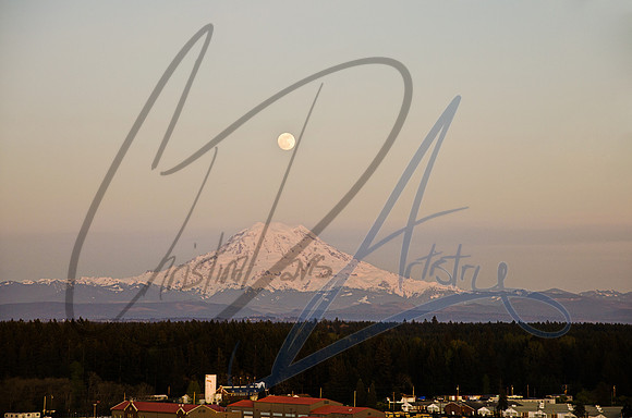 Mt Rainier, Moon Landscape
