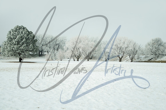 Winter Frost